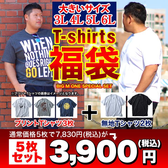 大きいサイズ メンズ DANIEL DODD 半袖Tシャツ 5枚セット福袋 azt-t5