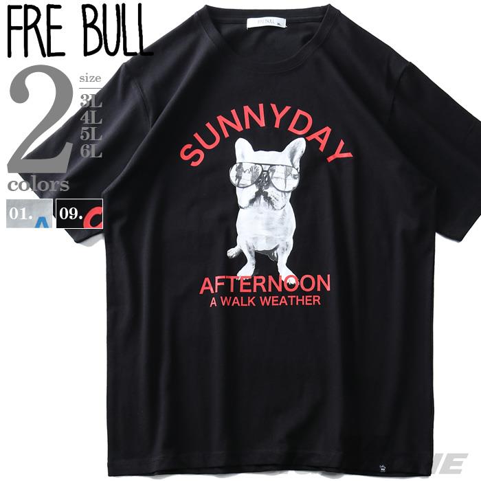 プリント半袖TシャツSUNNYDAYAFTERNOON春夏新作s0073-362