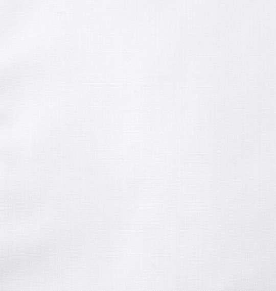 大きいサイズ メンズ レギュラーカラー長袖シャツ ホワイト 1177-5350-1 3L 4L 5L 6L 7L 8L 9L 10L