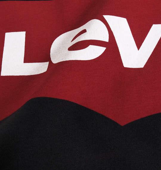 大きいサイズ メンズ Levi's 半袖Tシャツ ブラック 1178-6570-2 2XL 3XL