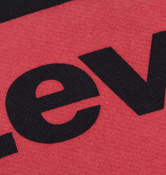 大きいサイズ メンズ Levi's プルパーカー ブラック 1178-7650-2 2XL 3XL