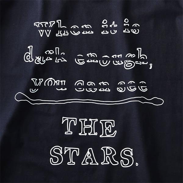 タダ割 大きいサイズ メンズ DANIEL DODD 半袖 Tシャツ オーガニック プリント半袖Tシャツ THE STARS azt-180222