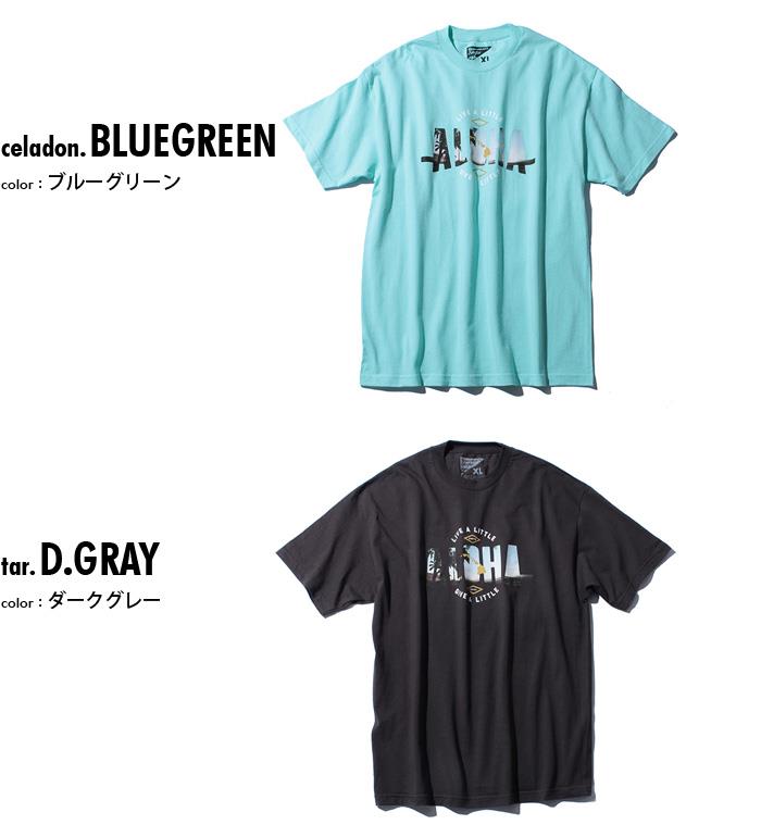 【WEB限定価格】【lo0511】大きいサイズ メンズ HAWAIIAN STYLE ハワイアンスタイル LOCAL MOTION ローカルモーション 半袖 Ｔシャツ プリント 半袖Tシャツ USA 直輸入 mts-5424