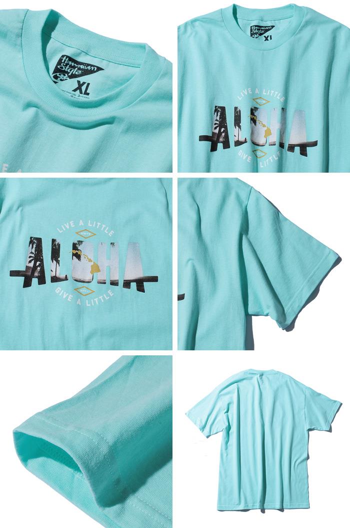 【WEB限定価格】【lo0511】大きいサイズ メンズ HAWAIIAN STYLE ハワイアンスタイル LOCAL MOTION ローカルモーション 半袖 Ｔシャツ プリント 半袖Tシャツ USA 直輸入 mts-5424