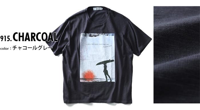 【WEB限定価格】タダ割 大きいサイズ メンズ DANIEL DODD 半袖 Tシャツ スラブ フォトプリント 半袖Tシャツ CATCH THE WIND azt-180294