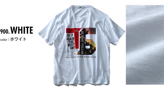 【WEB限定価格】タダ割 大きいサイズ メンズ DANIEL DODD 半袖 Tシャツ スラブ フォトプリント 半袖Tシャツ DO WHAT YOU CAN azt-180295