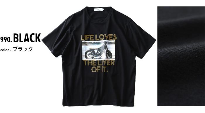 【WEB限定価格】タダ割 大きいサイズ メンズ DANIEL DODD 半袖 Tシャツ ベア天 フォトプリント 半袖Tシャツ LIFE LOVES azt-180297