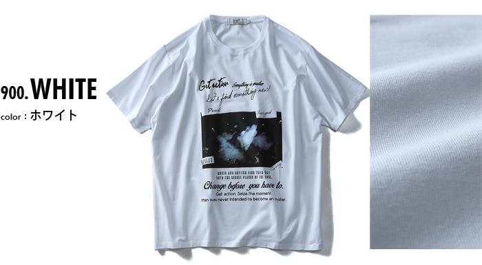 【WEB限定価格】タダ割 大きいサイズ メンズ DANIEL DODD 半袖 Tシャツ ベア天 フォトプリント 半袖Tシャツ Punk azt-180299