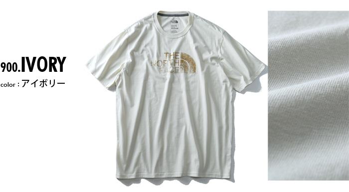 大きいサイズ メンズ THE NORTH FACE ザ ノース フェイス 半袖 プリント Tシャツ USA 直輸入 nf0a3rul8hx