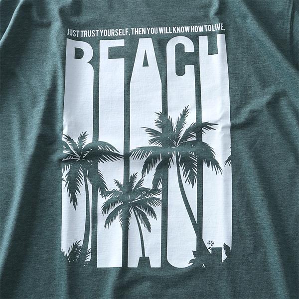 タダ割 大きいサイズ メンズ DANIEL DODD 半袖 Tシャツ オーガニック プリント 半袖Tシャツ BEACH azt-190223