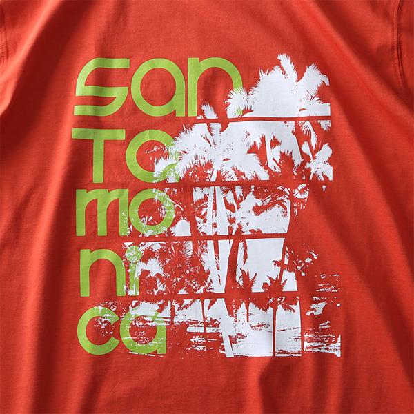 大きいサイズ メンズ DANIEL DODD オーガニック プリント 半袖 Tシャツ SANTAMONICA azt-190244