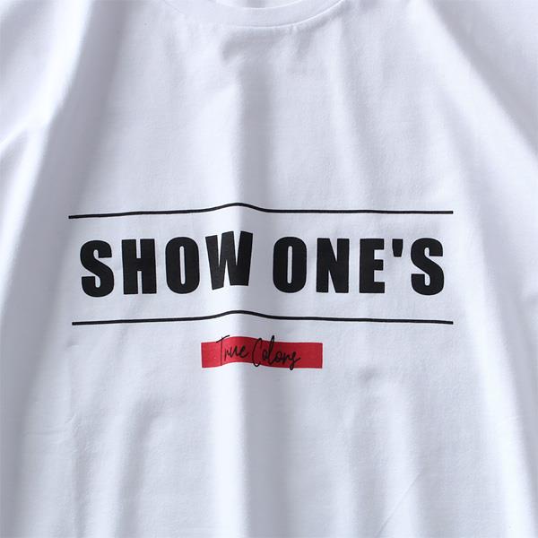 大きいサイズ メンズ DANIEL DODD ベア天 プリント 半袖 Tシャツ SHOW ONES azt-1902152