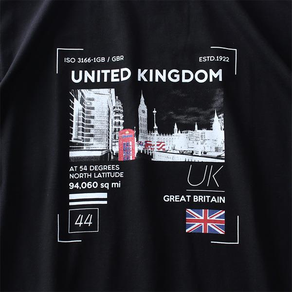 大きいサイズ メンズ DANIEL DODD ベア天 プリント 半袖 Tシャツ UNITED KINGDOM azt-1902154