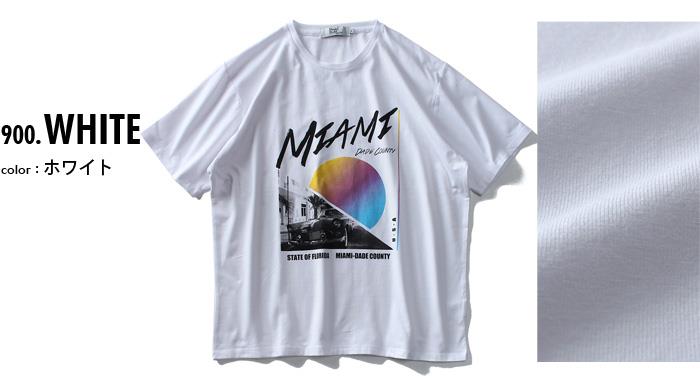 大きいサイズ メンズ DANIEL DODD ベア天 プリント 半袖 Tシャツ MIAMI azt-1902155