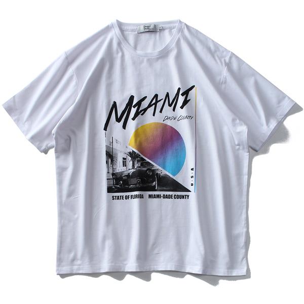 大きいサイズ メンズ DANIEL DODD ベア天 プリント 半袖 Tシャツ MIAMI azt-1902155