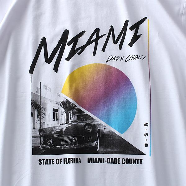 大きいサイズ メンズ DANIEL DODD ベア天 プリント 半袖 Tシャツ MIAMI azt-1902155