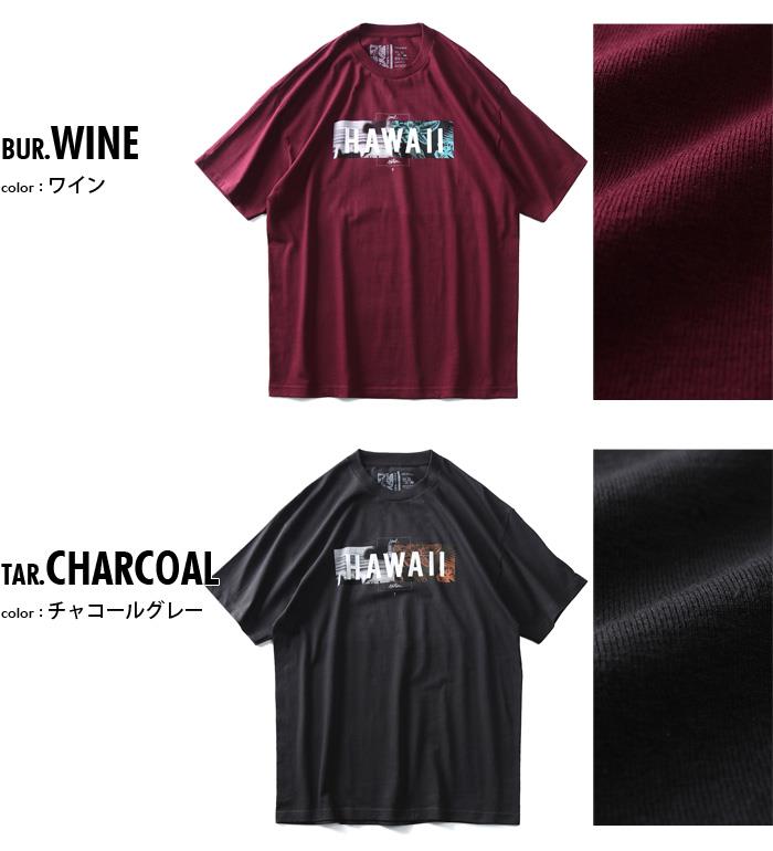 【WEB限定価格】【lo0511】ブランドセール 大きいサイズ メンズ LOCAL MOTION ローカルモーション 半袖 プリント Tシャツ USA直輸入 smt16216