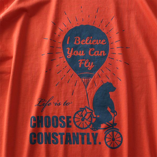 大きいサイズ メンズ DANIEL DODD オーガニック プリント 半袖 Tシャツ CHOOSE CONSTANTLY azt-190251