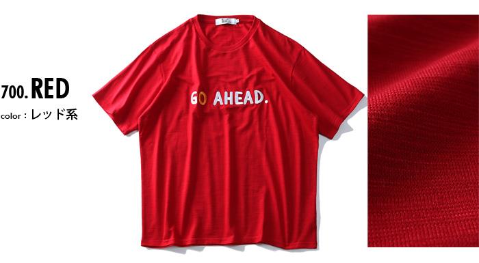 【WEB限定価格】【pd0525】大きいサイズ メンズ DANIEL DODD スラブ 刺繍 半袖 Tシャツ GO AHEAD azt-1902138