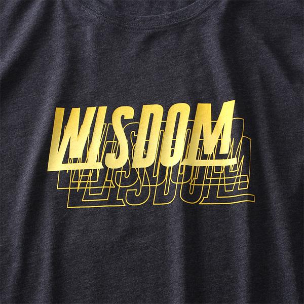 大きいサイズ メンズ DANIEL DODD オーガニックコットン プリント ロング Tシャツ WISDOM azt-190413