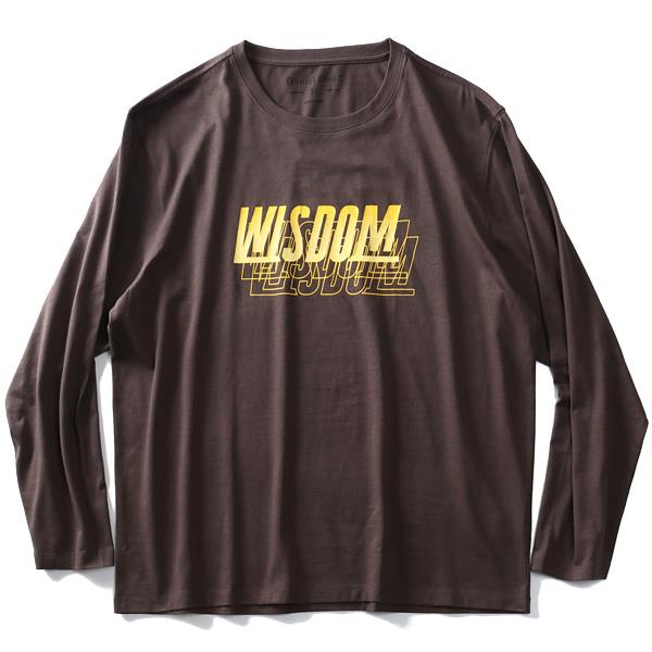 大きいサイズ メンズ DANIEL DODD オーガニックコットン プリント ロング Tシャツ WISDOM azt-190413