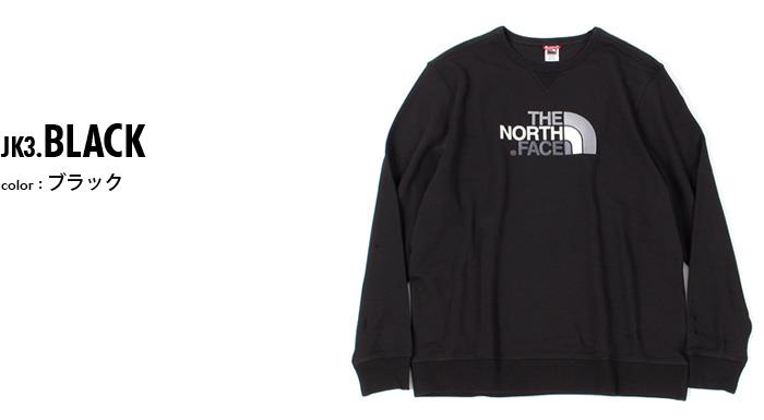 大きいサイズ メンズ THE NORTH FACE ザ ノース フェイス ロゴ刺繍 クルーネック スウェット トレーナー USA直輸入 nf0a2zwr