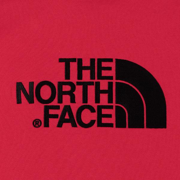 大きいサイズ メンズ THE NORTH FACE ザ ノース フェイス ロゴ刺繍 プルオーバー パーカー USA直輸入 nf00ahjy