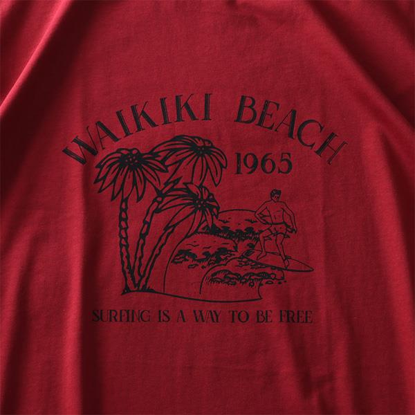タダ割 大きいサイズ メンズ DANIEL DODD オーガニック プリント 半袖 Tシャツ WAIKIKI BEACH azt-200213