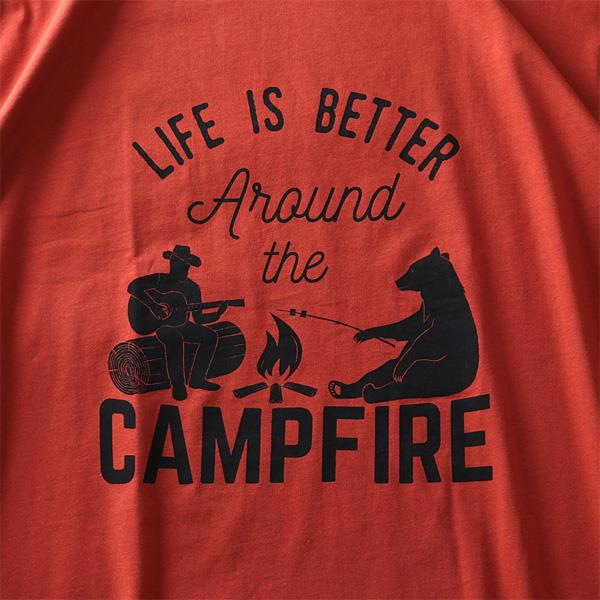 タダ割 大きいサイズ メンズ DANIEL DODD オーガニック プリント 半袖 Tシャツ CAMPFIRE azt-200214