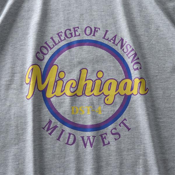 【WEB限定価格】大きいサイズ メンズ DANIEL DODD オーガニック プリント 半袖 Tシャツ Michigan azt-200222