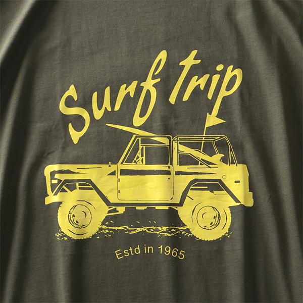 タダ割 大きいサイズ メンズ DANIEL DODD オーガニック プリント 半袖 Tシャツ Surf Trip azt-200217