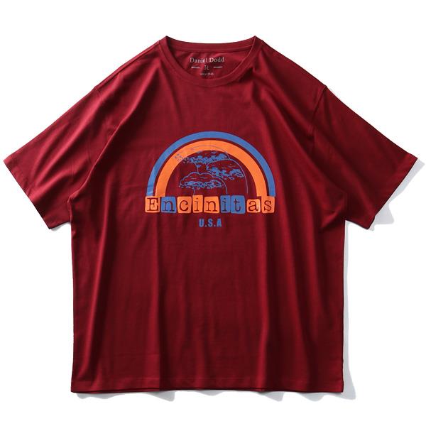 【WEB限定価格】大きいサイズ メンズ DANIEL DODD オーガニック プリント 半袖 Tシャツ Encinitas azt-200220