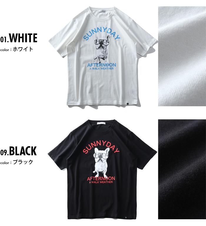 大きいサイズ メンズ フレブル プリント 半袖 Tシャツ SUNNYDAY AFTERNOON s0073-362