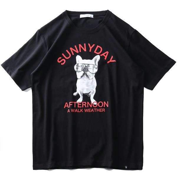 大きいサイズ メンズ フレブル プリント 半袖 Tシャツ SUNNYDAY AFTERNOON s0073-362