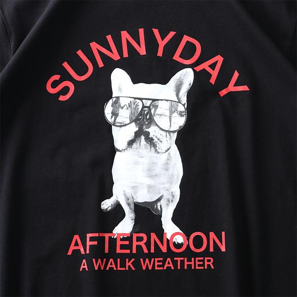 大きいサイズ メンズ フレブル プリント 半袖 Tシャツ SUNNYDAY AFTERNOON s0073-362