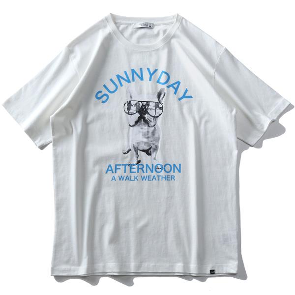 大きいサイズ メンズ フレブル プリント 半袖 Tシャツ SUNNYDAY AFTERNOON s0073-362