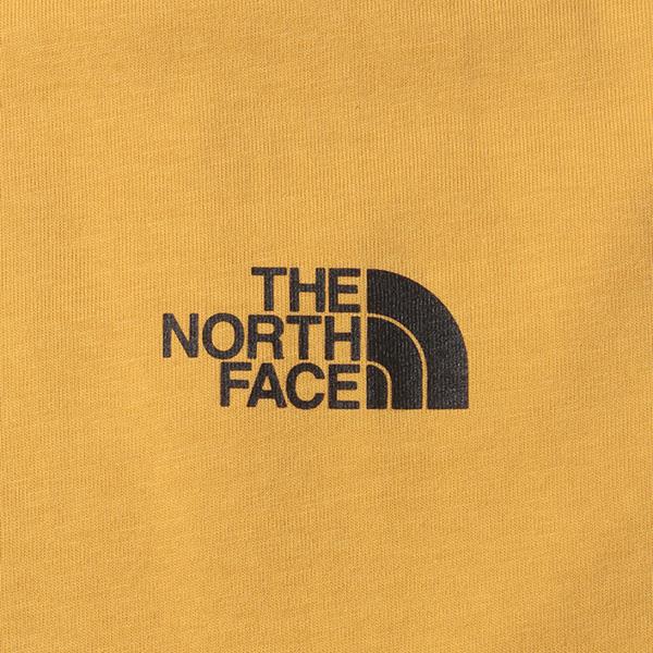 【WEB限定価格】ブランドセール 大きいサイズ メンズ THE NORTH FACE ザ ノース フェイス プリント 半袖 Tシャツ USA直輸入 nf0a2tx2