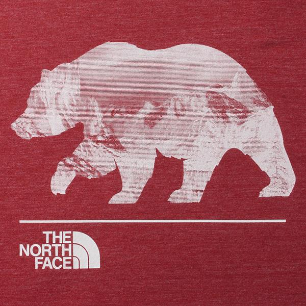 【WEB限定価格】ブランドセール 大きいサイズ メンズ THE NORTH FACE ザ ノース フェイス プリント 半袖 Tシャツ USA直輸入 nf0a3x6thjk