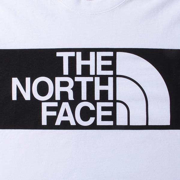 【WEB限定価格】ブランドセール 大きいサイズ メンズ THE NORTH FACE ザ ノース フェイス プリント 半袖 Tシャツ USA直輸入 nf0a3x92fn4