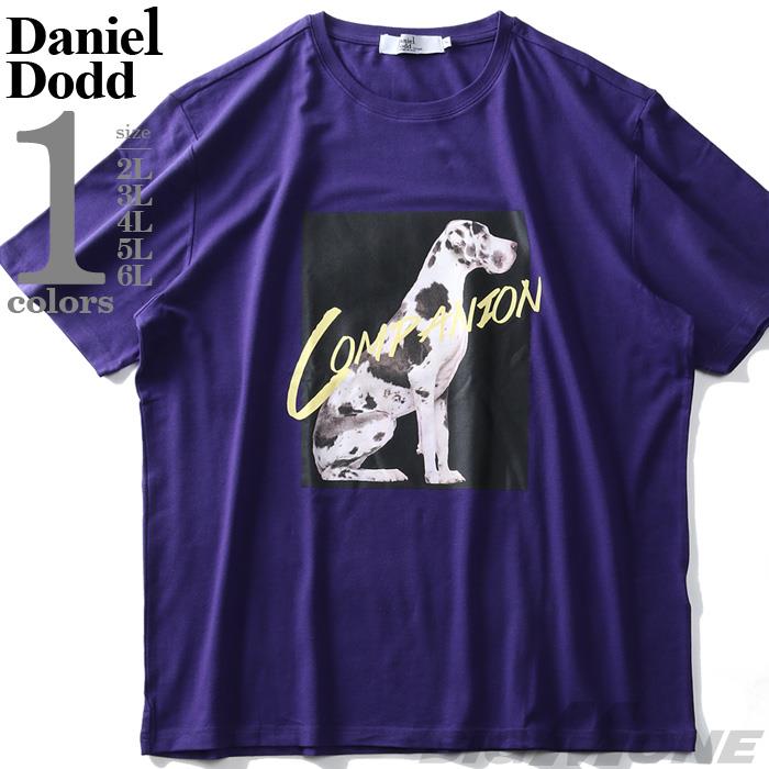 【WEB限定価格】大きいサイズ メンズ DANIEL DODD フォト プリント ストレッチ 半袖 Tシャツ COMPANION azt-200291