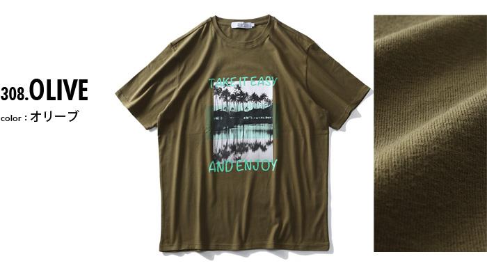 【WEB限定価格】大きいサイズ メンズ DANIEL DODD フォト プリント ストレッチ 半袖 Tシャツ TAKE IT EASY azt-200292