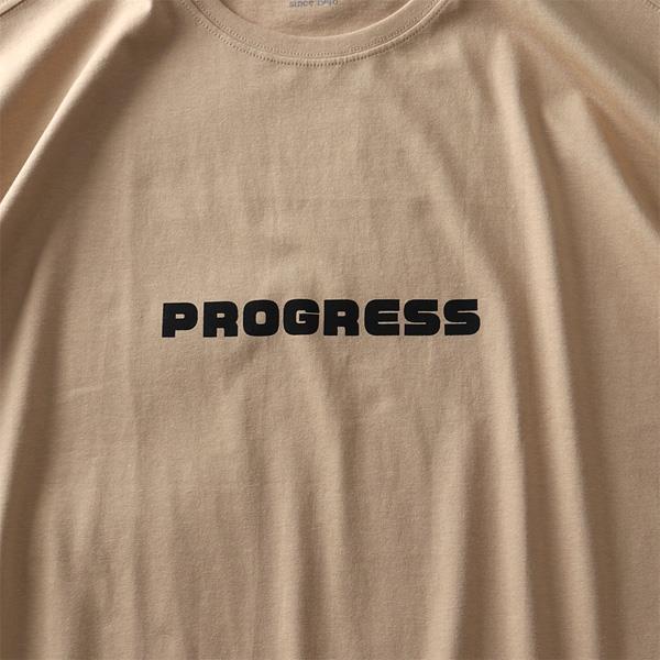 【WEB限定価格】大きいサイズ メンズ DANIEL DODD オーガニック プリント 半袖 Tシャツ PROGRESS azt-200241 緊急セール