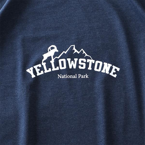 タダ割 大きいサイズ メンズ DANIEL DODD オーガニック プリント 半袖 Tシャツ YELLOWSTONE azt-200252