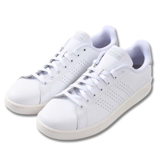 大きいサイズ メンズ adidas スニーカー ADVANCOURT LEA U フットウェアホワイト 1240-0265-1 29 30 31 32