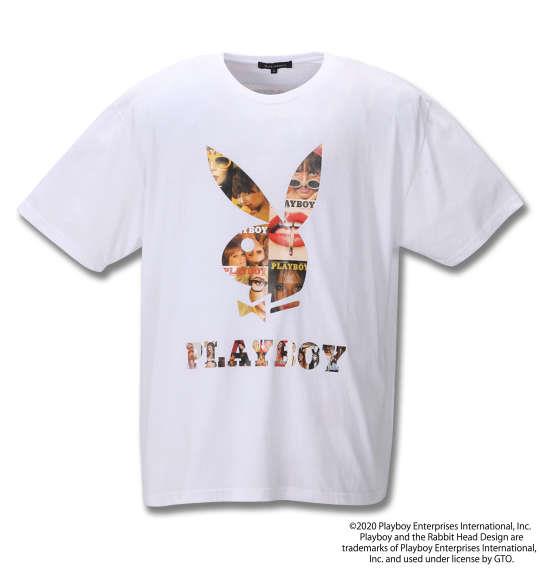 大きいサイズ メンズ PLAYBOY プリント 半袖 Tシャツ オフホワイト 1278-0555-1 3L 4L 5L 6L 8L