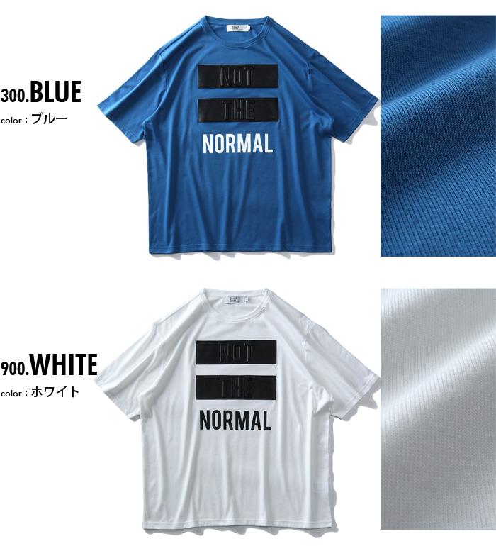 【WEB限定価格】【pd0525】大きいサイズ メンズ DANIEL DODD エンボス加工 半袖 Tシャツ NOT THE NORMAL azt-2002111