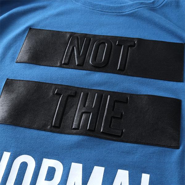 【WEB限定価格】【pd0525】大きいサイズ メンズ DANIEL DODD エンボス加工 半袖 Tシャツ NOT THE NORMAL azt-2002111