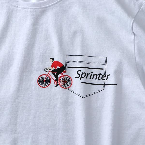 【WEB限定価格】【pd0525】大きいサイズ メンズ DANIEL DODD ヘヴィーウェイト 半袖 プリント Tシャツ Sprinter azt-2002122