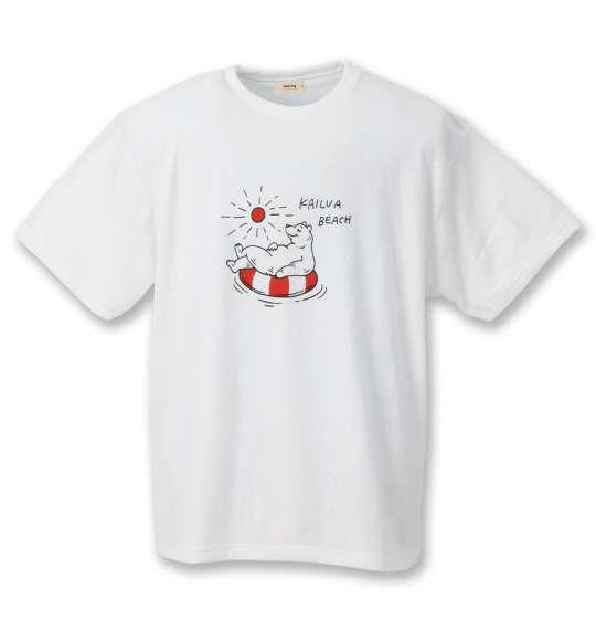 大きいサイズ メンズ kailua Bay ナノテック加工 パイル 半袖 Tシャツ オフホワイト 1258-0256-1 3L 4L 5L 6L