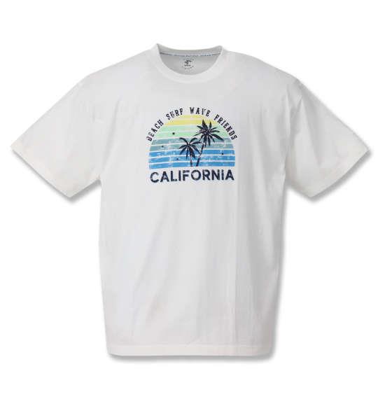 大きいサイズ メンズ OCEAN PACIFIC プリント 半袖 Tシャツ ホワイト 1268-0261-1 3L 4L 5L 6L 8L